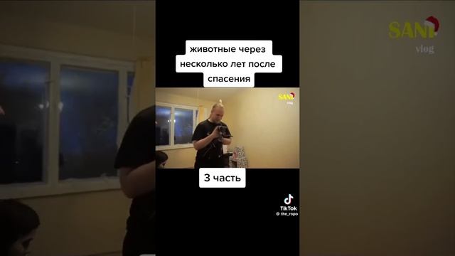 Доброе ❤️