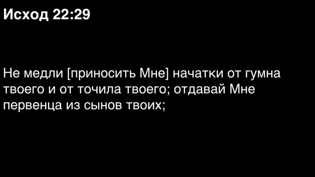 День 21. Библия за год. Книга Исход. Главы 21-24.