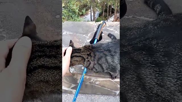✨Наш день обмену и возврату не подлежит✨