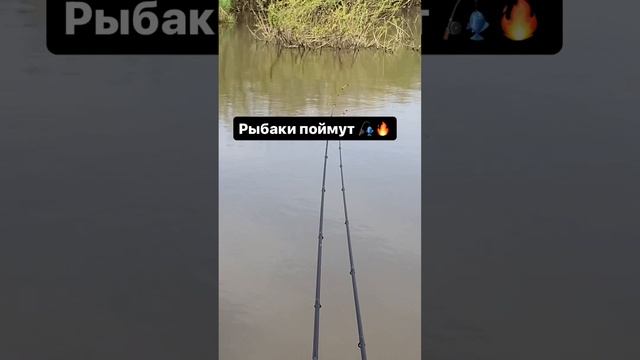 Рыбаки поймут 🐟 🎣 #рыбалка #fishing #рыболовная #spinning #рыбалка #рыбак