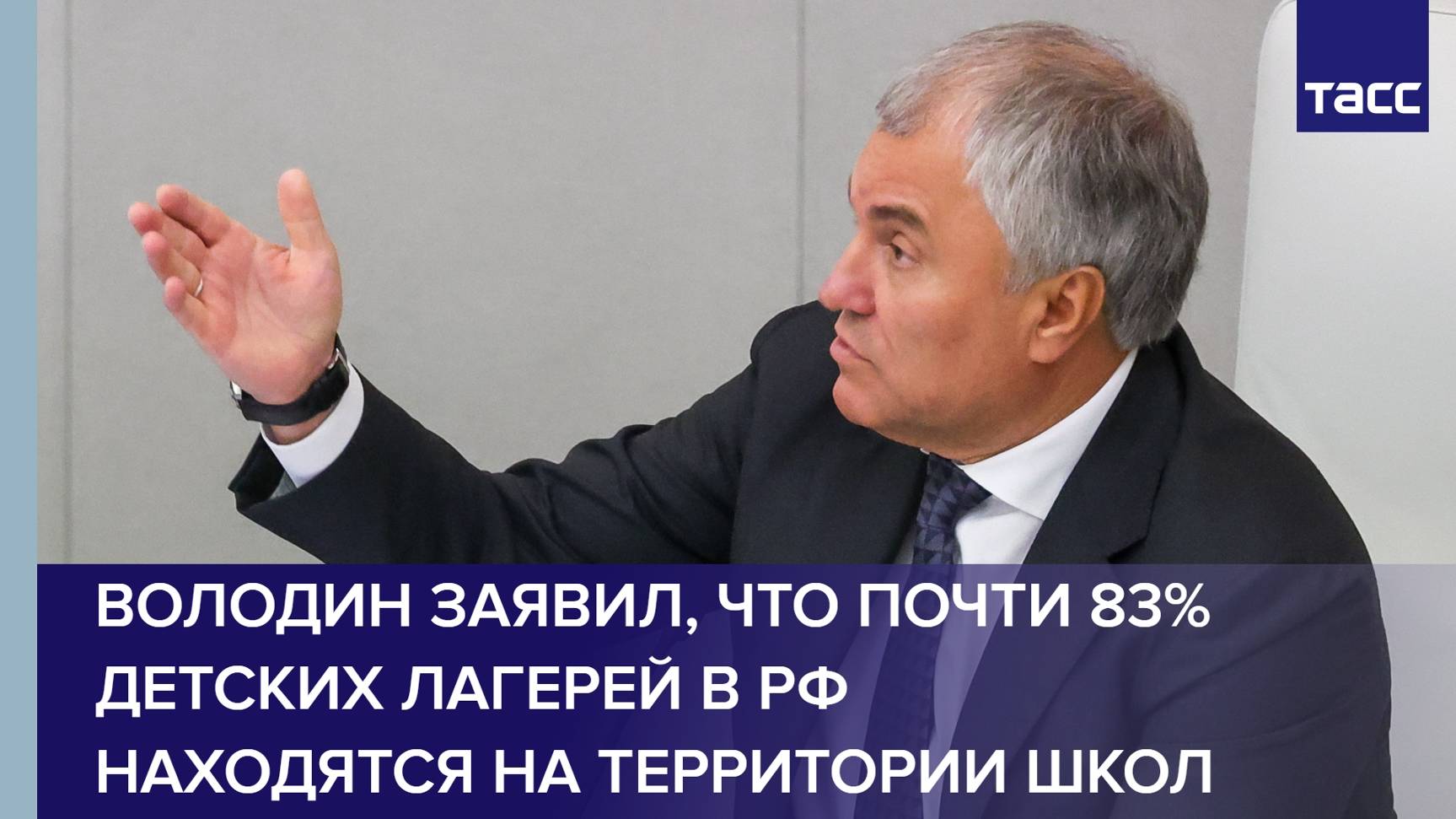 Володин заявил, что почти 83% детских лагерей в РФ находятся на территории школ