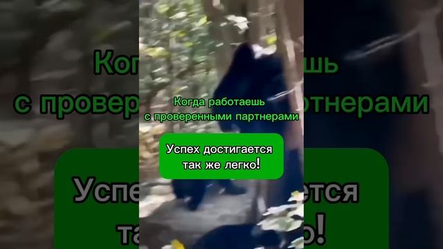 Проверенные поставщики – гарантия успеха!