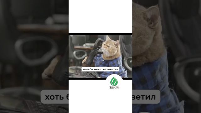 ЧТО ВАМ МЕШАЕТ БЫТЬ ПРОДУКТИВНЫМ?