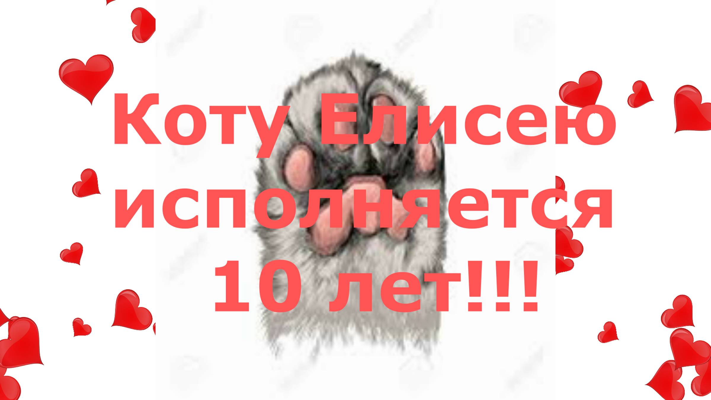 Коту Елисею  исполнилось 10 лет !