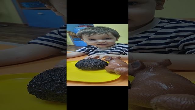 VID_20240927_113639.mp4