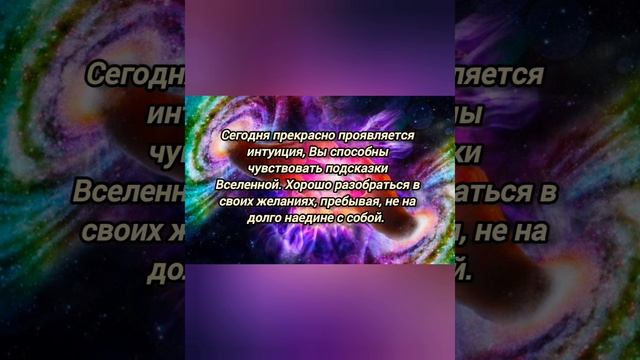 2 октября 2024.mp4