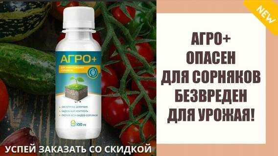 ОТ СОРНЯКОВ ХИМИЯ 🔴 ГЕРБИЦИДЫ ДЛЯ ГАЗОНА ОТ СОРНЯКОВ