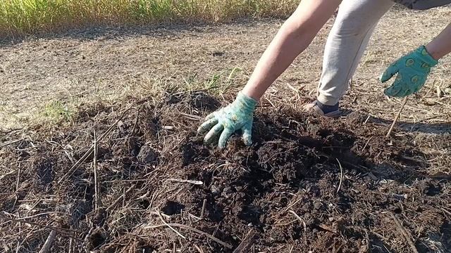 Облагораживаю кусок земли 😅