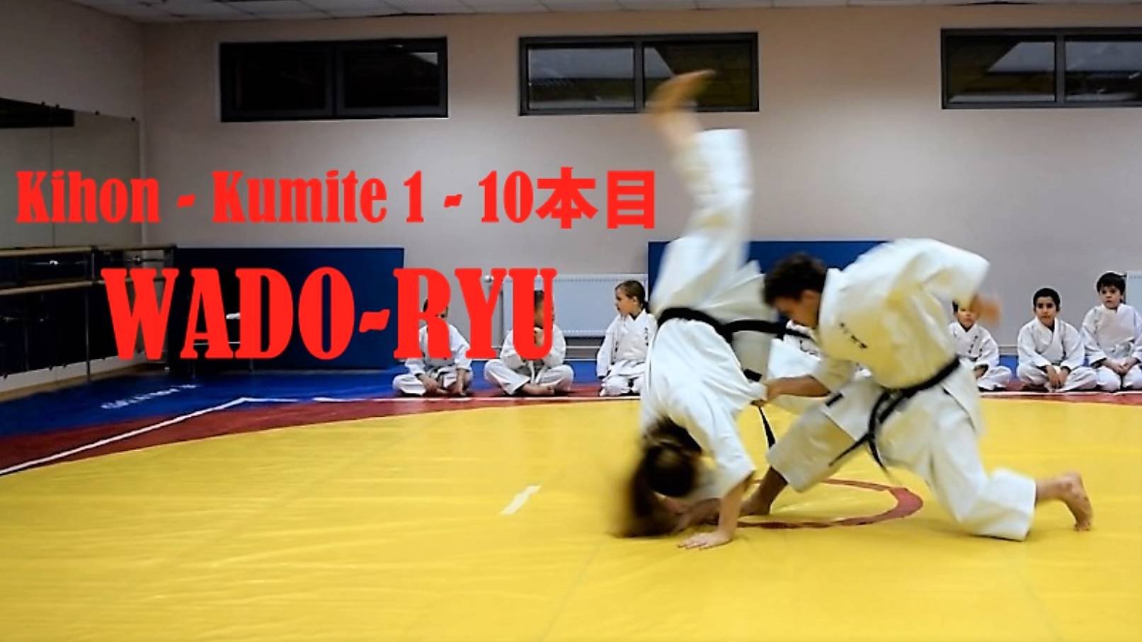 Kihon - Kumite 1 - 10本目WADO-RYU  (和道流 基本組手1 - 10本目)