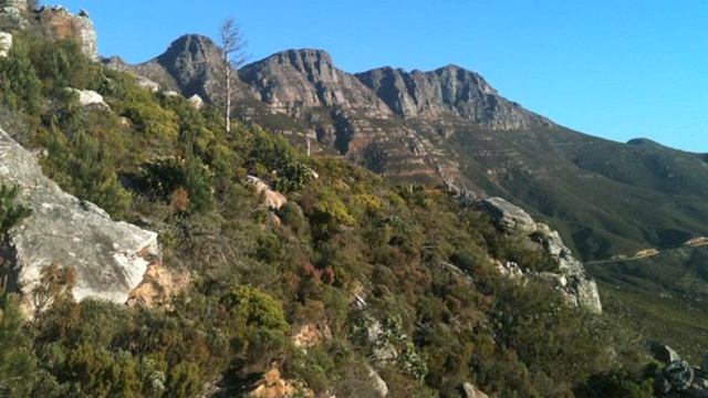 Siteseeing - Documentary about Chapmans Peak Toll Plaza