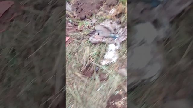 Находка дня