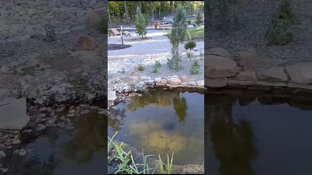 Придворовая территория ЖК 