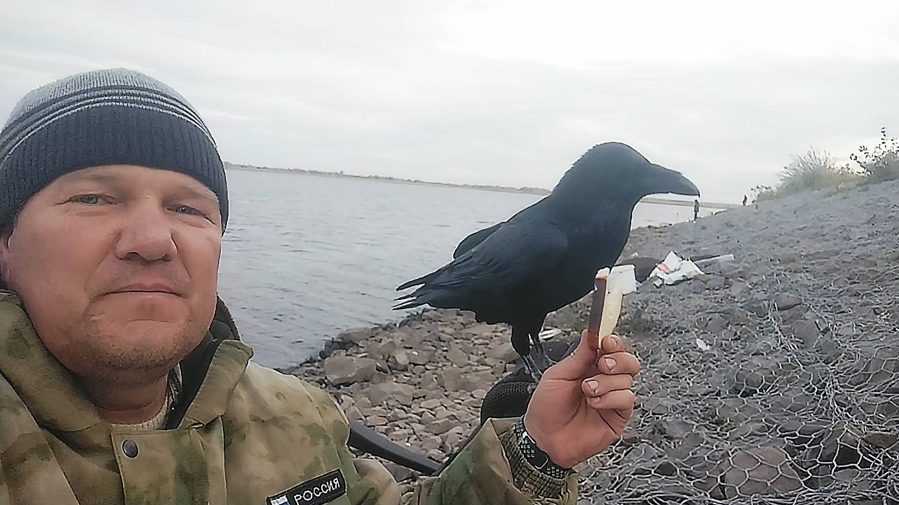 Ручной ворон по имени "Федя". Случай на рыбалке.