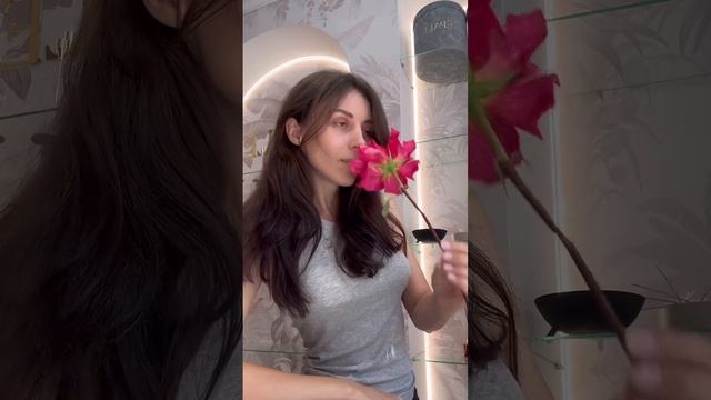 Хит сезона - композиции с роскошной французской розой ❤️🔥 #цветы #bouquet #сочи #хит #florist
