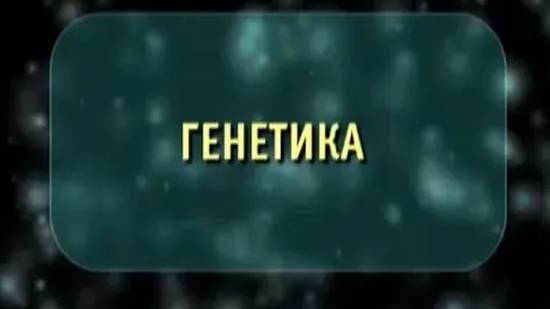 Генетика