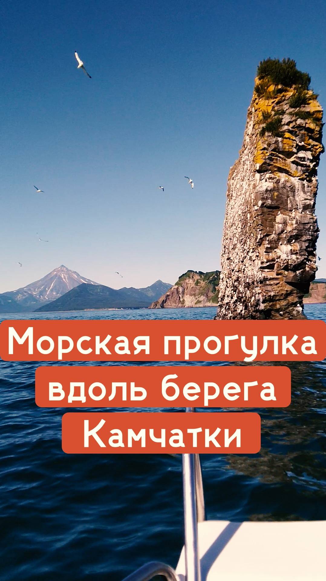 На этой морской прогулке программа максимально насыщенная.. Ответ в описании.. @okeanygor 🌊🌋