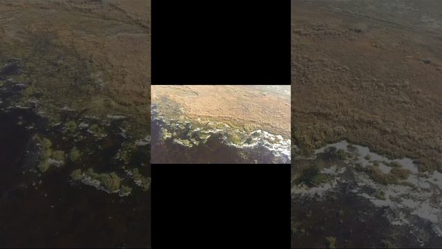 Оз Большое Камышное