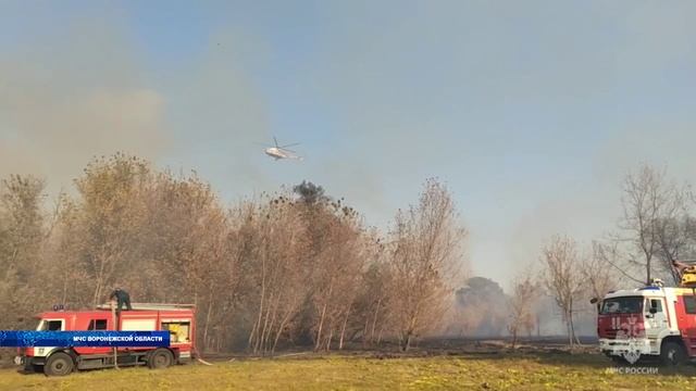 Ещё несколько крупных пожаров потушили в Воронежской области