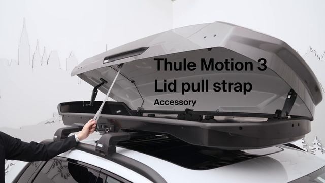 Автомобильный бокс Thule Motion 3