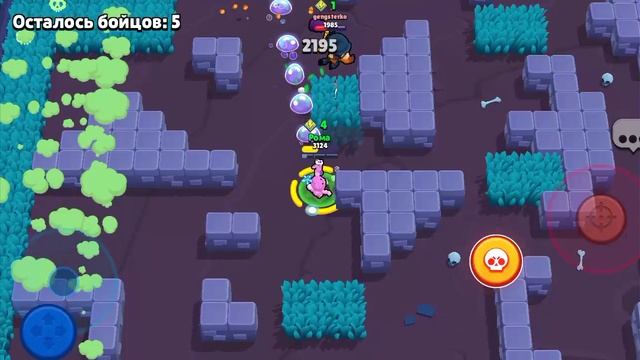 играю в brawl stars