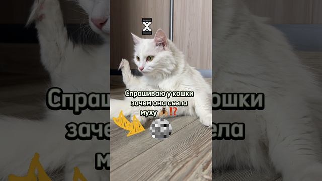 Их разборки 😹