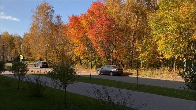 Золотая осень в Челябинске