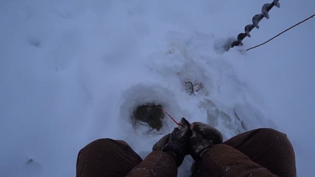 Рыбалочка. Хроники февральского подлёдного лова на Чепце.