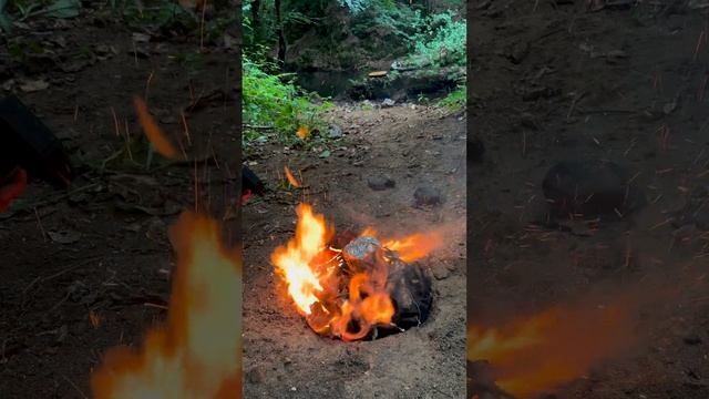Томленая голень говядины