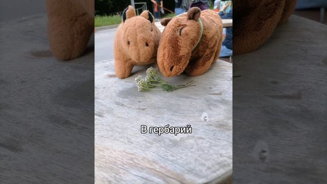 Прогулка по парку