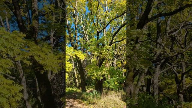 Осенний парк Победы г.Ессентуки