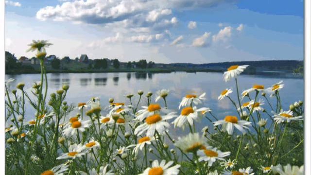 Заспявай мне песню  сл. Л.Воранава , муз , спявае Л. Лаўрыновіч