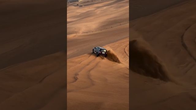 Desert Fun