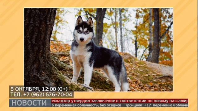 Отдыхаем в Хабаровском крае. 02/10/2024. GuberniaTV