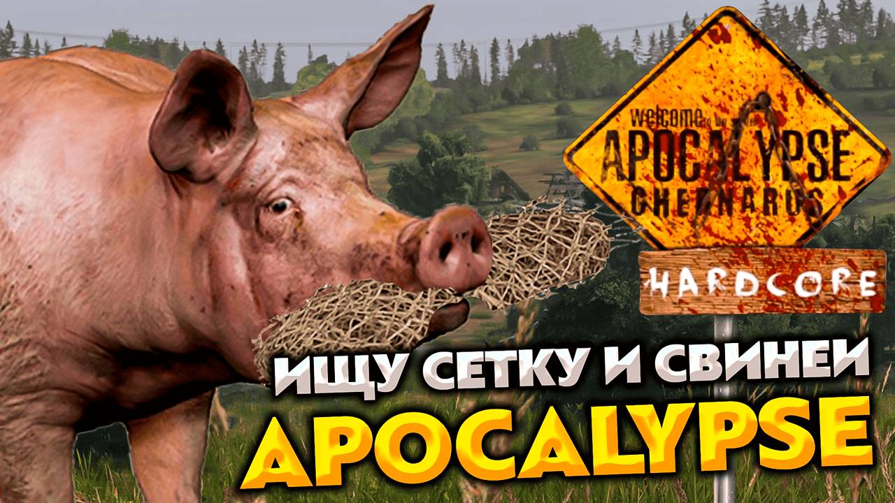 DAYZ APOCALYPSE HARDCORE PVE 💥 ИЩУ СЕТКУ И СВИНЕЙ