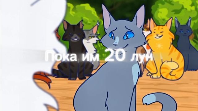 жалко Белую