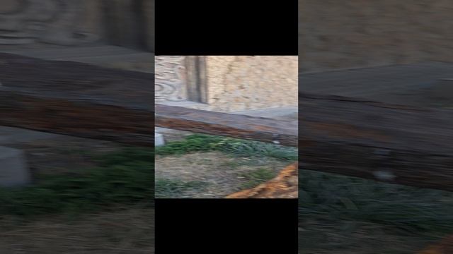 турецкий якорь