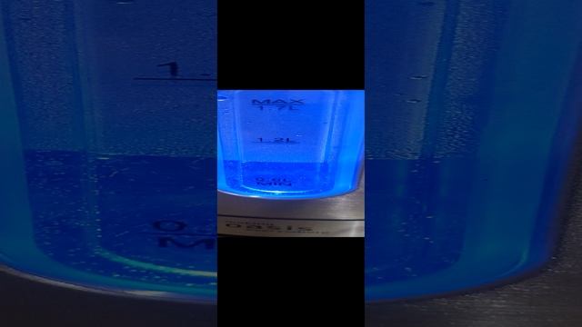 1000013203.mp4