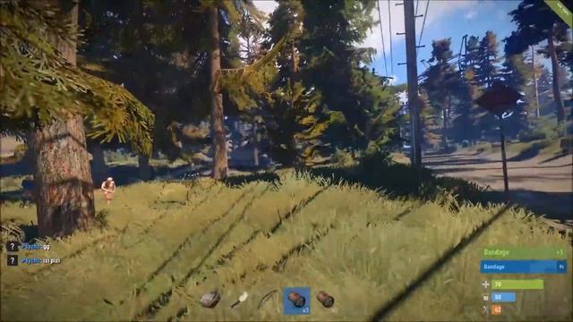 Bug | Rust #2 xD