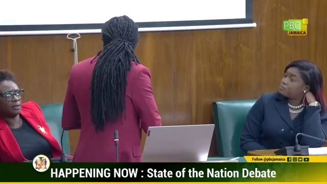 Senator #damioncrawford #StateoftheNation #StateofEducation presentation in the JAM. Senate PART 1