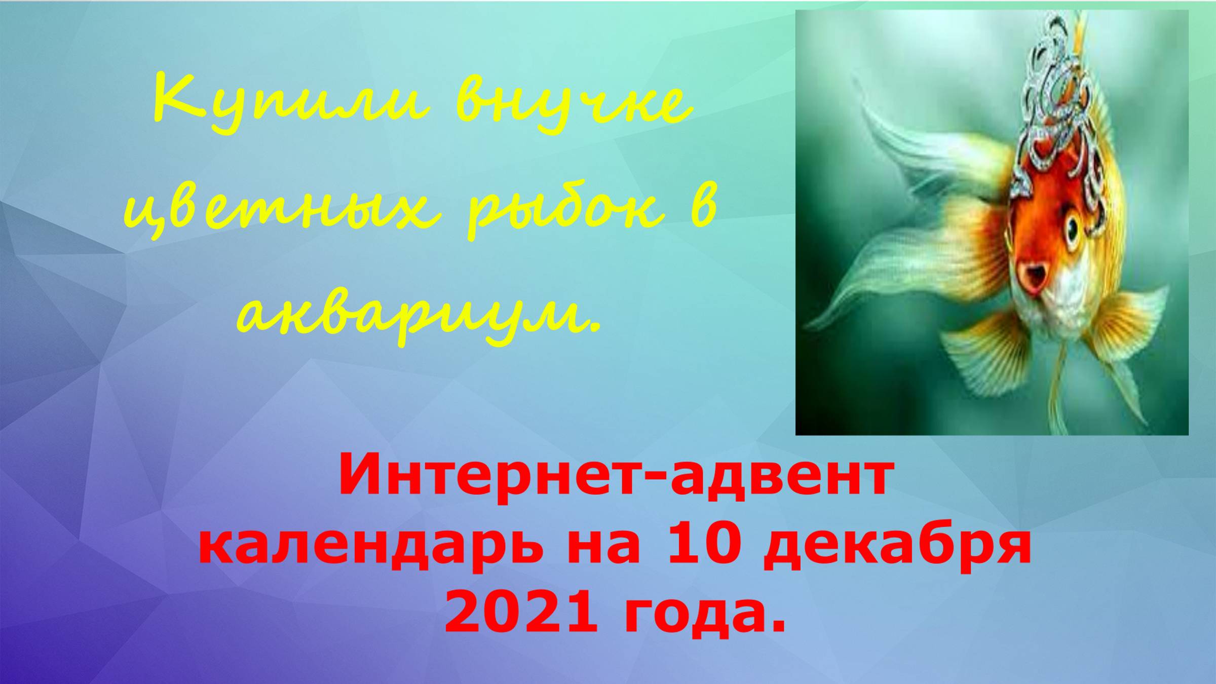 Снова  запустили в дело аквариум, теперь для внучки.