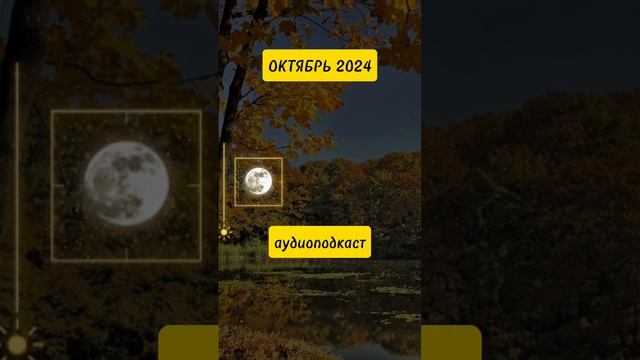 Октябрь 2024