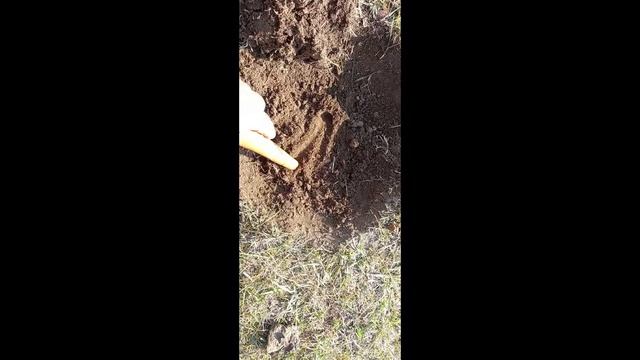 Хороший коп Приборный поиск #Эпизот11#