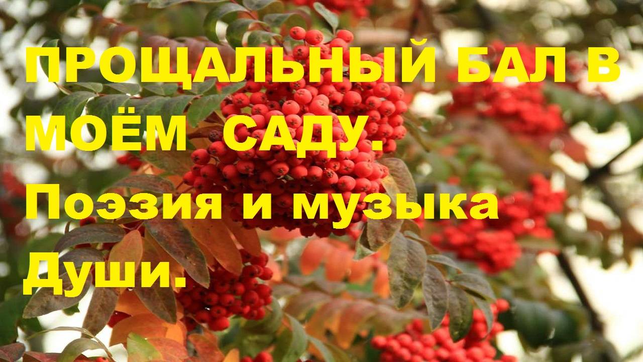 Прощальный бал в моём саду. Автор стихотворения и видео А. Соколов. Музыка Memory.