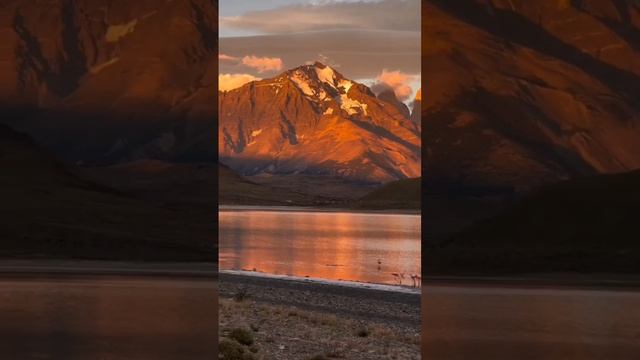 1000010873.mp4