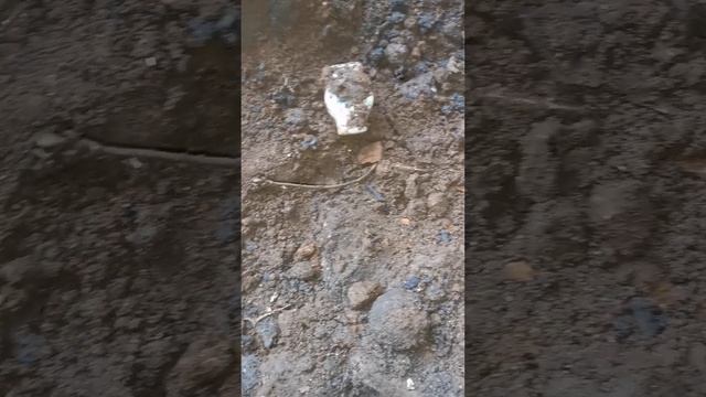 Стекло Восточной Пруссии
