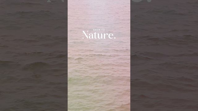 Back to nature 
#абхазия #гагра #naturephotography #travel