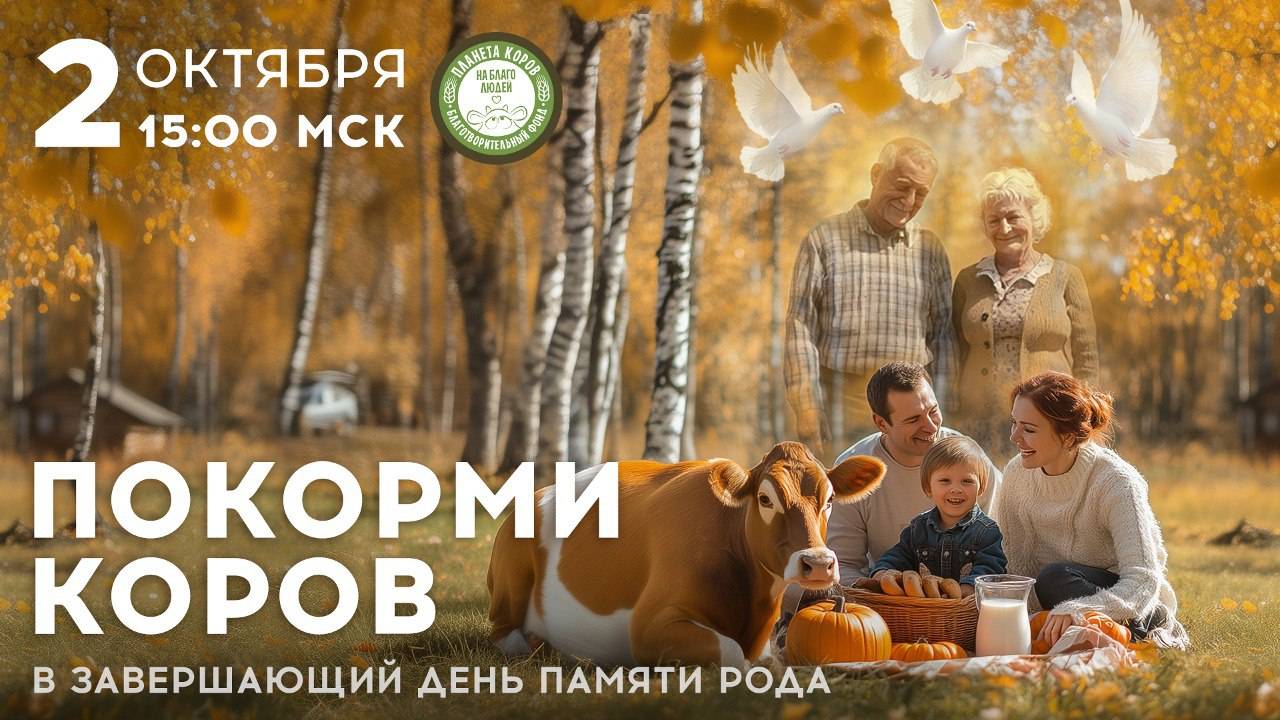 Кормление коров онлайн в завершающий день памяти рода 02 октября 2024 г. Планета коров