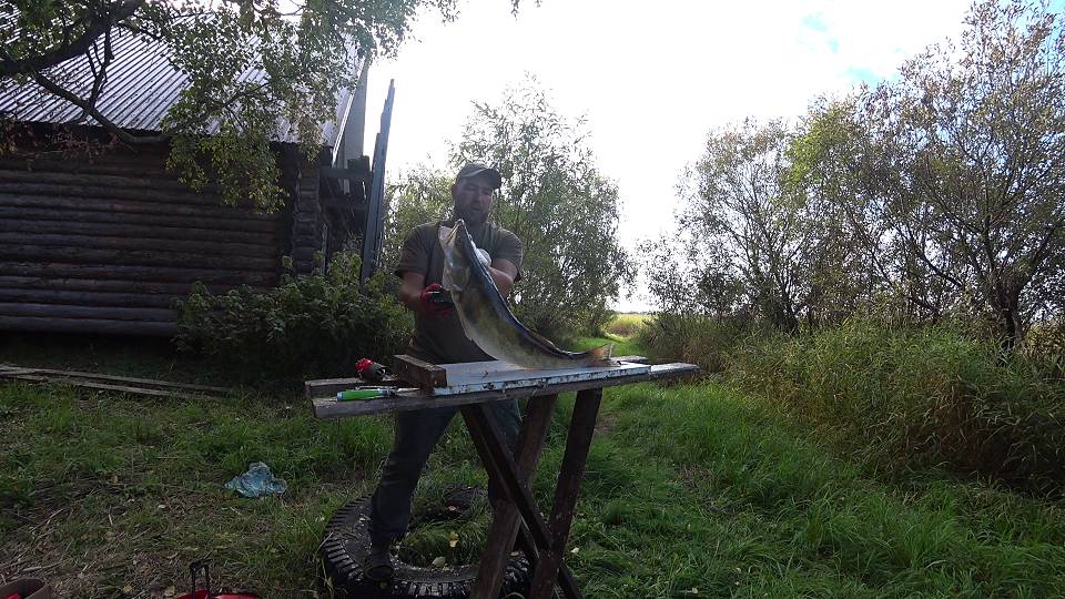 ОЗЕРО ПРОСТО БОМБА! КАЖДЫЙ ДЕНЬ ТРОФЕИ! Рыбалка с Андреем Новиковым! Часть 5