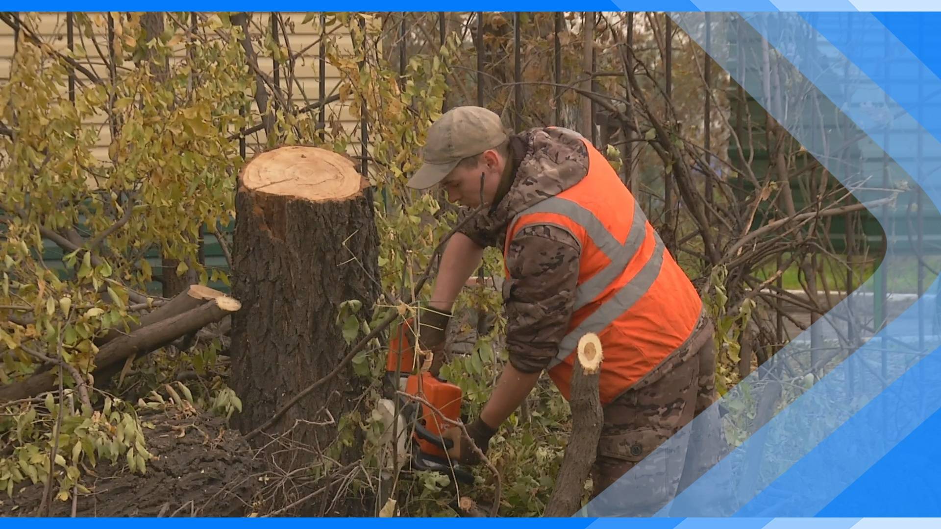 02.10.2024   Специалисты МП «Зеленхоз» наводят порядок в поселке Карагайлинский