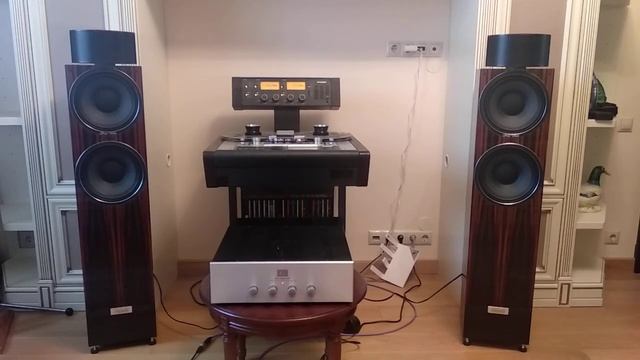 WLM Gran Viola Акустика